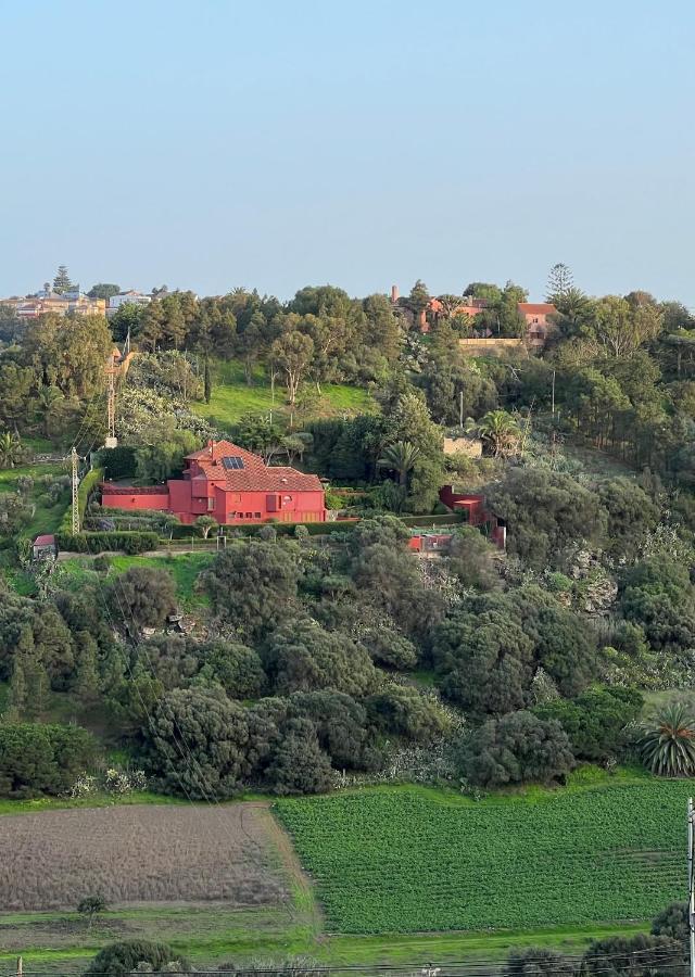 Luxury Country & Rural Palmas